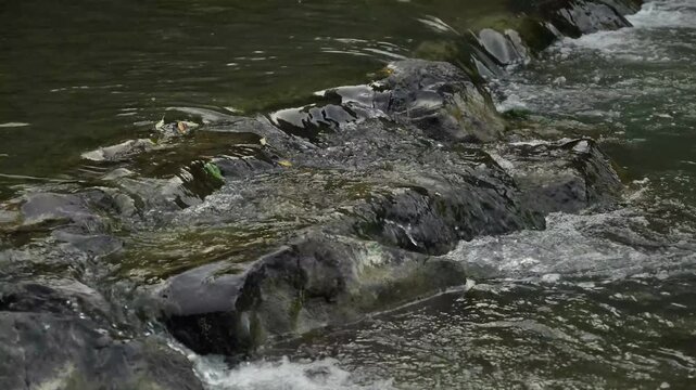 Carpathian river with a rapid and stones. cloudy weather