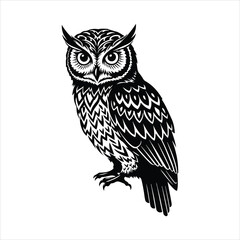 Intricate black and white owl portrait majestic nocturnal bird detailed feather texture