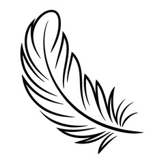  Elegant hand drawn sketch of a single delicate feather with fine lines