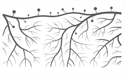 Abstract Network of Roots and Nodes Illustration Background for Plant Science