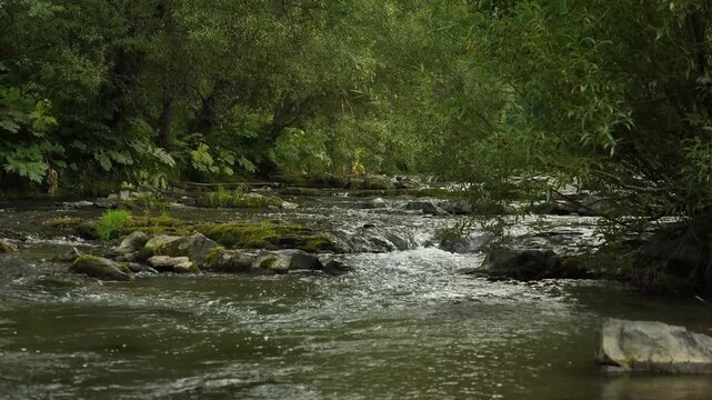 Carpathian river with a rapid and stones. cloudy weather