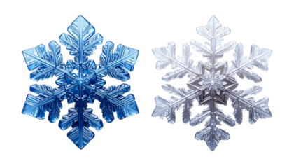 Winter Snowflake Bundle Featuring Dual Crystal Variations, isolated on transparent background