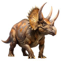 Fototapeta premium Triceratops dinosaur isolated on transparent background
