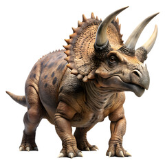 Fototapeta premium Triceratops dinosaur isolated on transparent background