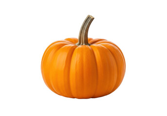 Obraz premium Vibrant orange miniature pumpkin, short brown stem, upright on transparent background with subtle reflection, ample copy space, soft studio lighting. Autumn harvest and Halloween decoration concept
