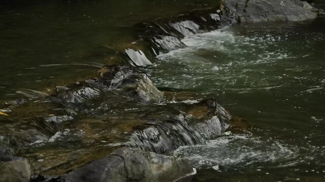 Carpathian river with a rapid and stones. cloudy weather