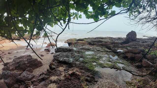 Scenic Ocean Shoreline with Rocks and Tide Pools on a Cloudy Day