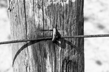Wooden fence post with rusty metal wire in a rural setting showcasing nature's elements