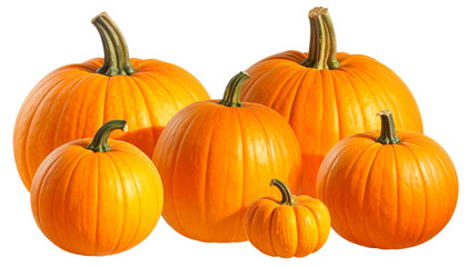 Obraz premium Assorted Pumpkin Collection PNG