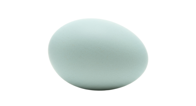 Light blue Araucana chicken egg isolated PNG, natural pastel color Easter egg on transparent background