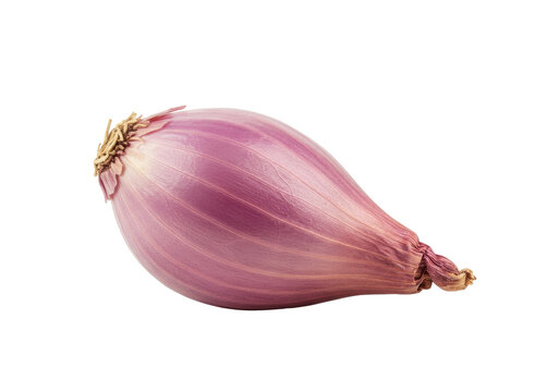 Fresh shallot isolated on transparent background, whole red onion vegetable for cooking and healthy eating