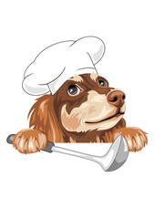 Dreaming dachshund cook with a ladle