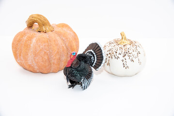Thanksgiving theme with turkey figurine, knives and pumpkin