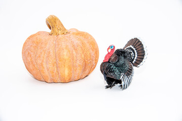 Thanksgiving theme with turkey figurine, knives and pumpkin