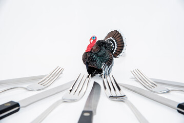 Thanksgiving theme with turkey figurine, knives and pumpkin