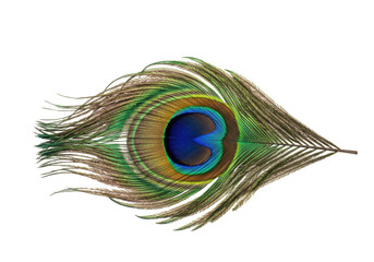 Detailed peacock feather PNG isolated on transparent background, vibrant iridescent plumage for design and decorative elements