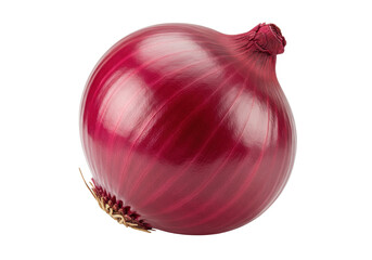 Fresh red onion isolated on transparent background, whole bulb with dry outer layers for cooking...