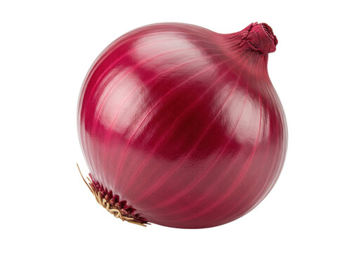 Fresh red onion isolated on transparent background, whole bulb with dry outer layers for cooking and healthy eating