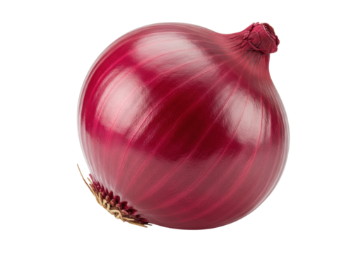 Fresh red onion isolated on transparent background, whole bulb with dry outer layers for cooking and healthy eating
