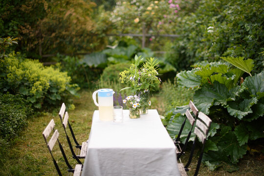 Flower pot and jug on dining table covered with tablecloth near plants in back yard