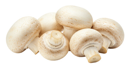 Fresh champignon mushrooms isolated on transparent background, raw edible fungus for cooking and...