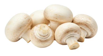 Fresh champignon mushrooms isolated on transparent background, raw edible fungus for cooking and healthy eating