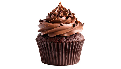 chocolate muffin isolated on white background