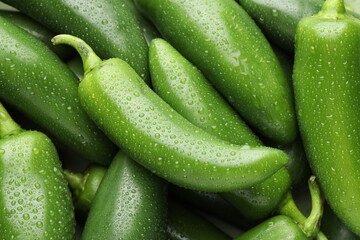 Many wet green jalapeno peppers as background, closeup