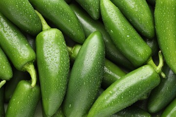 Many wet green jalapeno peppers as background, closeup