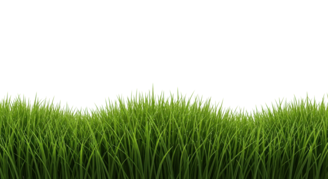 Lush, hyper-detailed vibrant green grass blades with glistening dew, isolated on a pure, transparent studio background with shadowless light, macro photography. Concept of pristine freshness and