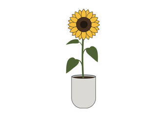 Obraz premium Single Sunflower in a Pot Bright Yellow.