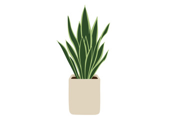 Indoor Snake Plant in Beige Pot.