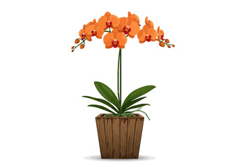 Orange Phalaenopsis Orchid in Wooden Pot.