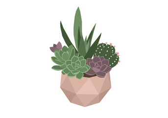 Succulents and Cactus in Geometric Pot.