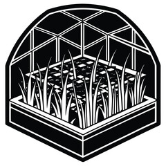 Vector hydroponic rice fields growing in a Mars greenhouse