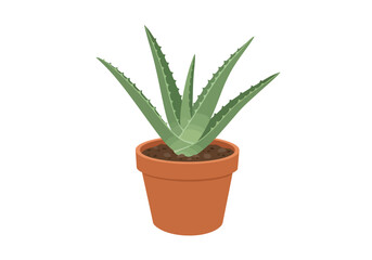 Potted Aloe Vera Plant in Brown Pot.