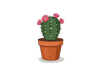 Blooming Cactus in a Terracotta Pot.