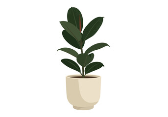Indoor Plant in a Cream Pot.