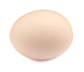 One raw chicken egg isolated on white