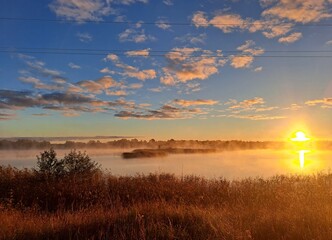 Golden sunrise with morning mist, soft blue skies, and a forest in the background. Peaceful and dreamy natural scene perfect for seasonal, landscape, or atmospheric visuals.