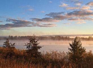 Golden sunrise with morning mist, soft blue skies, and a forest in the background. Peaceful and dreamy natural scene perfect for seasonal, landscape, or atmospheric visuals.