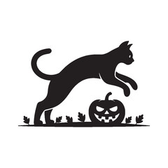 Halloween Black Cat on Pumpkin Spooky Season  Silhouette Vector and White background