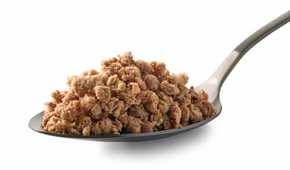 spoon of prepared minced ground beef meat