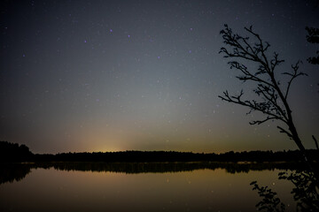 Naklejka premium Autumn Night Sky Reflected on Finnish Lake with Tree in Foreground