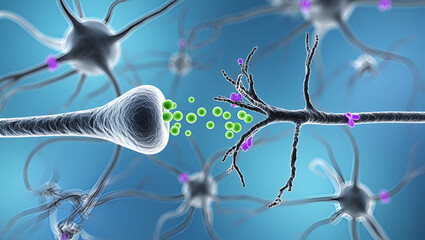 Neuronal synapse transmitting chemical signals between cells neurons transmission
