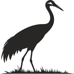 Obraz premium black crowned crane
