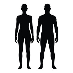 Silhouette figures of male and female anatomy standing together representing human form and diversity silhouette