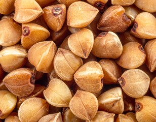 Close-up view of buckwheat seeds