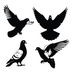Dynamic silhouettes of four pigeons in flight and perched capturing avian grace and movement silhouette