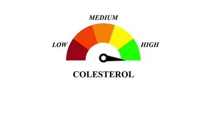 Cholesterol Level Gauge Animation Low, Medium, High Scale Infographic for Health and Medical Videos.Animated Cholesterol Level Meter, Health Indicator with Low Medium High Scale.4k animation - Powered by Adobe